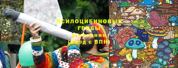 спиды Алзамай